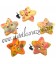 Bottoni Fantasia Stella 18x17 mm Legno (5 pezzi)