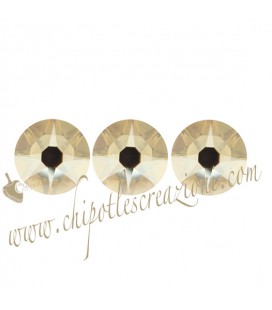 Flat Backs No Hotfix Sw Xirius Rose 2088 SS34 7,07-7,27 mm Crystal Golden Shadow (12 pezzi)