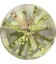 Sw1695 14 mm Sea Urchin Crystal Luminous Green