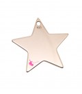 Ciondolo Stella 15x16 mm Argento 925 Placcato Oro Rosa