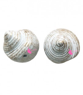 Perla Conchiglia 25x24 mm Resina colore Bianco e Oro