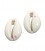 Conchiglie Cauri colore Avorio (49-50 grammi)