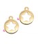 Ciondolo Medaglia con Stella Forata 13x10 mm colore Oro