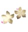 Connettore Base Collana Fiore 5 Petali 23mm Oro Opaco