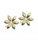 Coppetta Copriperla Fiore 6 Petali 16 mm Oro Opaco (5 pezzi)