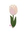 Ciondolo Connettore Tulipano 14x40 mm Oro Opaco Smaltato Rosa e Verde